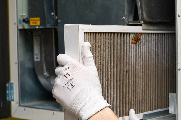 Best Air Duct Cleaning Near Me  in Savannah, MO